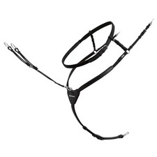 Passier Schwarz/Edelstahl Pony