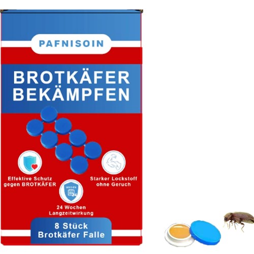 Bread beetle combat - combat,
