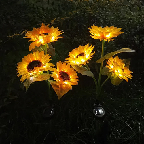 Solar sonnenblumen licht - sonnenblumen,