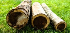 3x Goldregen-Holz-Schmuckholz-Drechselholz-Schalenrohling 35-42 cm - 4,6 kg-RAR!