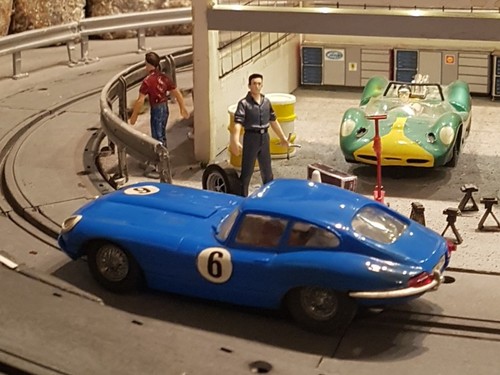 Jaguar type blau - jaguar, licht