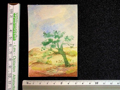 Hans goller miniatur - hans,