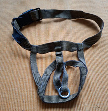 Halti Hundekopf Halsband für