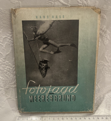 Hans hass fotojagd - hans,