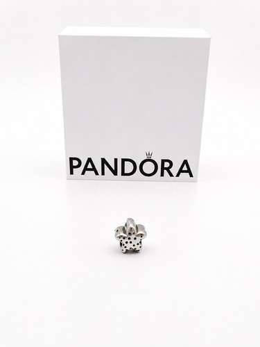 Pandora charm anhänger - charm,