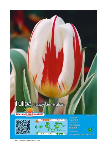 Tulpen - @,