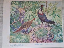 VOSS Margarine Kunstbilder