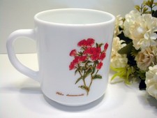 vintage Arcopal Kaffeebecher floral Tee Tasse Opalglas weiß Blumen Botanik Aster