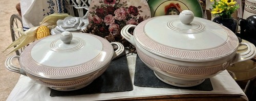 Schöne elegante terrinen - 2,