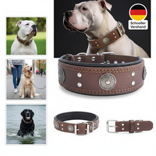 Hundehalsband Leder, 5 cm