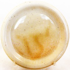 CORDA BEIGE by Thomas Bread &