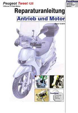 Reparaturanleitung RIS Peugeot