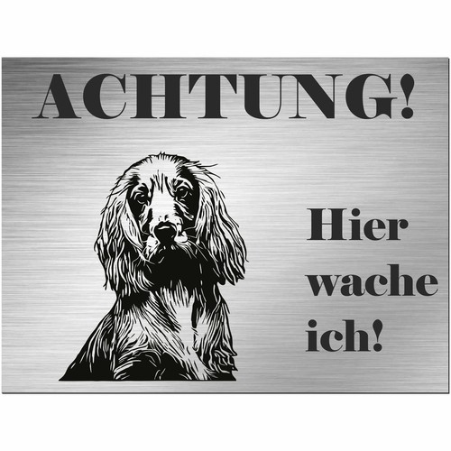 Englisch cocker spaniel - englisch,