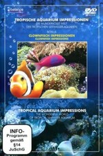Various / Tropische Aquarium