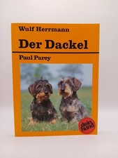 Der Dackel. Kurzhaar -