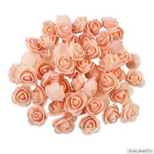 25/50 Schaumrosen Lachs