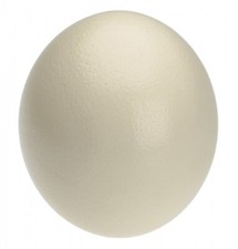 NaDeco Straußenei natur 5