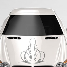 Pinstripes Motorhaube Streifen Linien Abstrakt Auto Aufkleber Sticker #1195