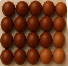🥚20 Maran Schwarz/Braun