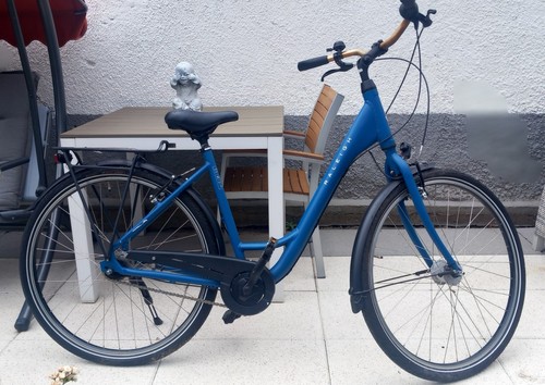 damenfahrrad raleigh