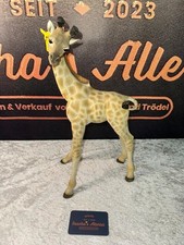 Leonardo Collection - Young