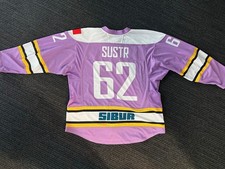 Game Worn Jersey A. Sustr -