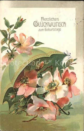 Geburtstag rosen regenschirm - rosen,