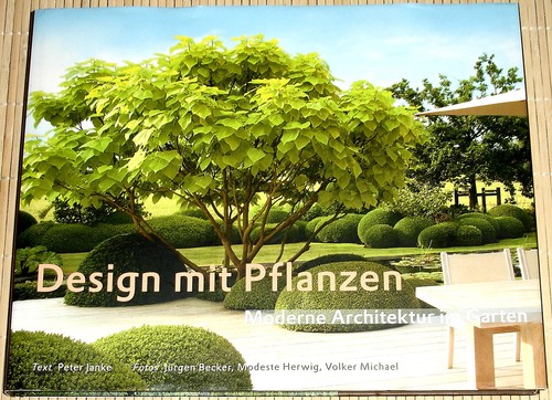 Design mit pflanzen moderne - mit,