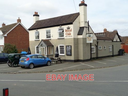Foto royal oak kinnersley - oak, 2019