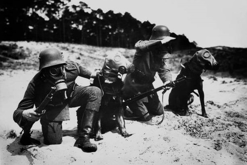 Deutsche soldaten und ihre - deutsche,