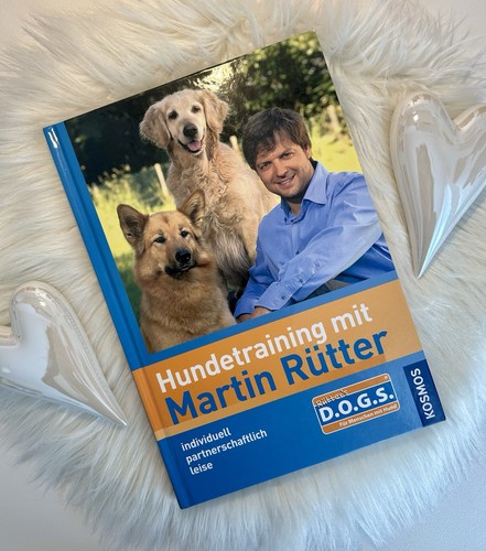 Hundetraining mit martin - hundetraining,