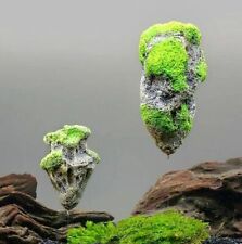 Aquarium Deko schwimmender