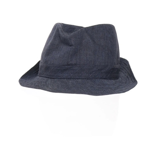 Stetson fedora hut - stetson,, fedora-hut,