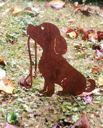 Hund mit leine - hund, cm