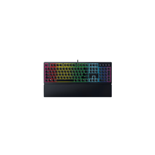 Razer ornata - ornata, v3