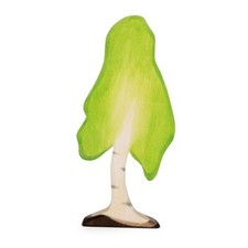 Birke groß Baum Laubbaum -