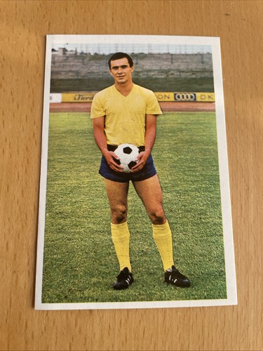 Bergmann 1967 41 - ,