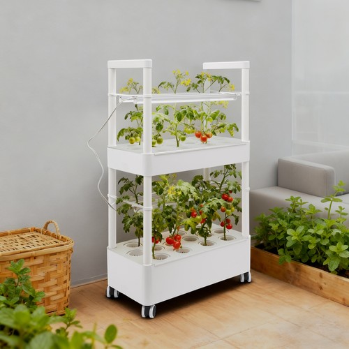 Hydroponic system tier - system, 2-tier
