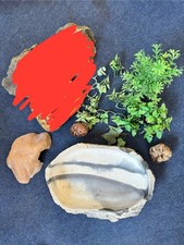 Terrarium Deko Zubehör Exo