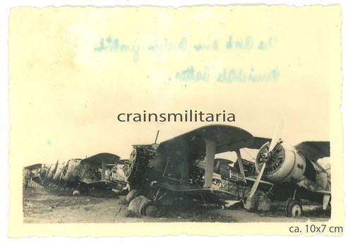 Orig foto russ beute - foto,
