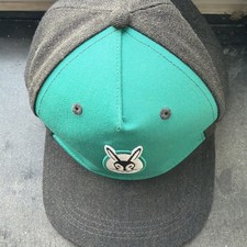 Vaillant Basecap Kappe