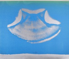 Heinz Mack handsigniert Unikat