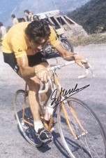Eddy Merckx  original