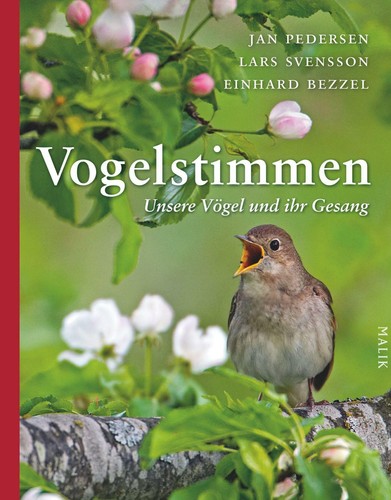 Pedersen vogelstimmen - pedersen,