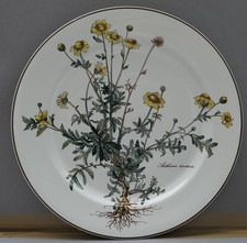 Villeroy & Boch Botanica 1 von