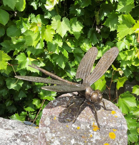 Bronzefigur libelle xxl - bronzefigur,