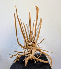 Moorwurzel Spiderwood Aquarium Aquascaping Terrarium Fingerwurzel Moorkien Deko