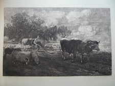 ALEXANDER ECKENER Radierung "Ochsengepann (nach H. Zügel) " Nr. 144 WV Rummel 