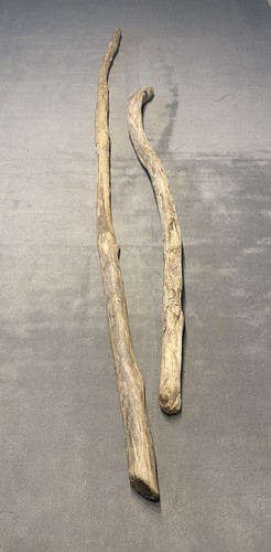 Treibholz driftwood - treibholz,