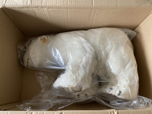 Steiff märklin eisbär - eisbär, 70
